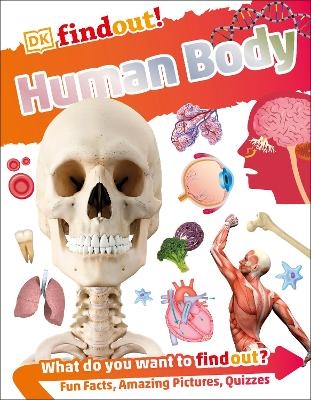 DKfindout! Human Body -  Dk