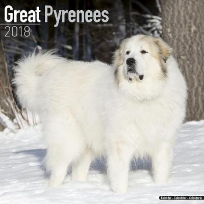 Great Pyrenees Calendar 2018 -  Avonside Publishing Ltd