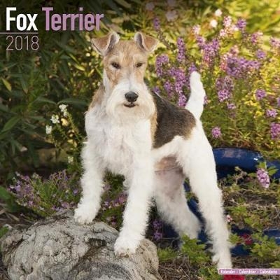 Fox Terrier Calendar 2018 -  Avonside Publishing Ltd