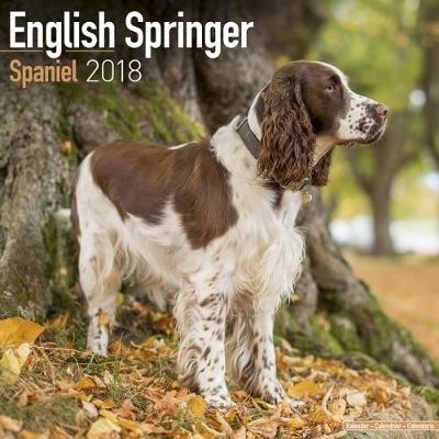 English Springer Spaniel Calendar 2018 -  Avonside Publishing Ltd