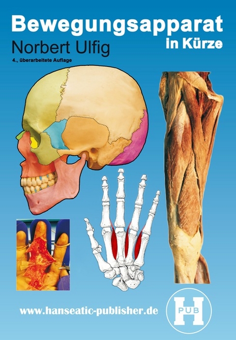 Bewegungsapparat in Kürze - Norbert Ulfig