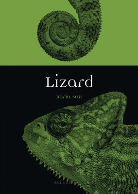 Lizard - Boria Sax