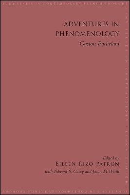 Adventures in Phenomenology - 