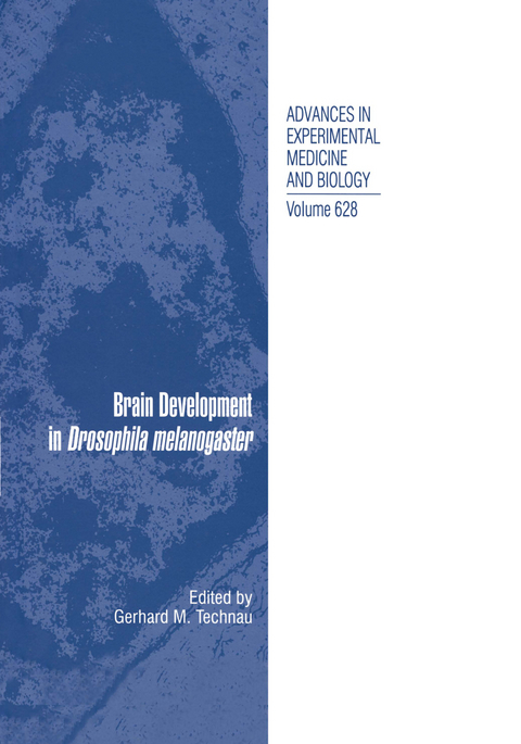 Brain Development in Drosophila melanogaster - 