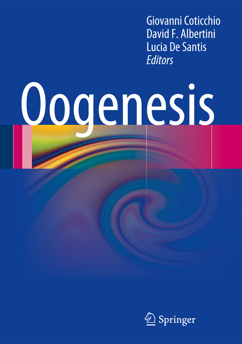 Oogenesis - 