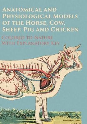 Anatomical and Physiological Models of the Horse, Cow, Sheep, Pig and Chicken - Colored to Nature - With Explanatory Key -  ANON