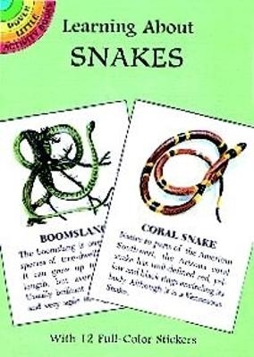 Learning About Snakes - Jan Sovak