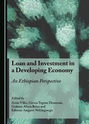 Loan and Investment in a Developing Economy - 