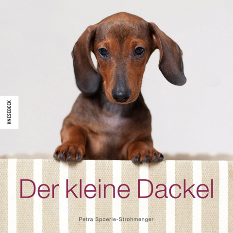 Der kleine Dackel - Petra Spoerle-Strohmenger