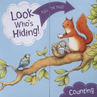 Look Who's Hiding: Counting - Sharon Rentta