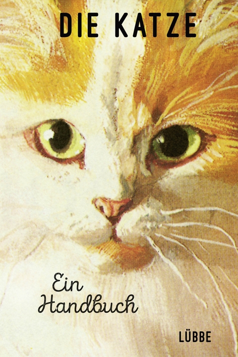 Die Katze. Ein Handbuch - Jason Hazeley, Joel Morris