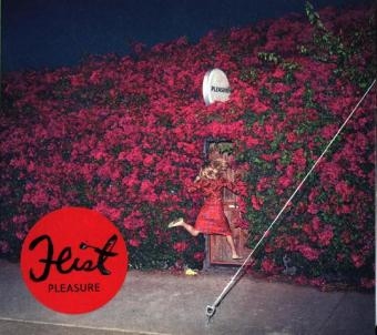 Pleasure, 1 Audio-CD -  Feist