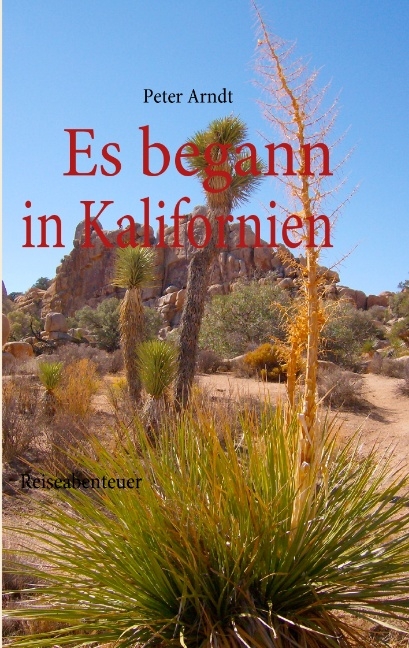 Es begann in Kalifornien - Peter Arndt