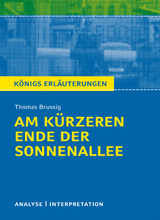 Am kürzeren Ende der Sonnenallee - Thomas Brussig