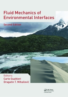 Fluid Mechanics of Environmental Interfaces - 