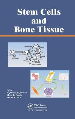 Stem Cells and Bone Tissue - 