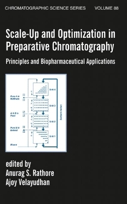 Scale-Up and Optimization in Preparative Chromatography - 