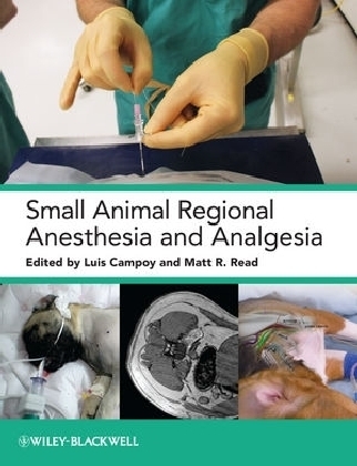 Small Animal Regional Anesthesia and Analgesia - 