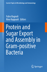 Protein and Sugar Export and Assembly in Gram-positive Bacteria - 