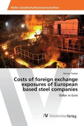 Costs of foreign exchange exposures of European based steel companies - Roman Tauber