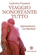 Viaggio nonostante tutto - Ludovico Guarneri