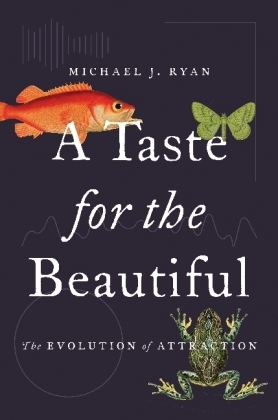 A Taste for the Beautiful - Michael J. Ryan