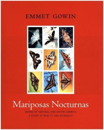 Mariposas Nocturnas - Emmet Gowin