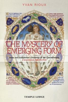 The Mystery of Emerging Form - Yvan Rioux