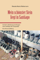 Mein schönster Stein liegt in Santiago - Renate Maria Riehemann