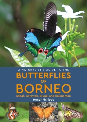 A Naturalist's Guide to the Butterflies of Borneo - Honor Phillipps