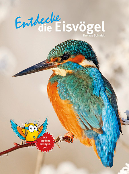 Entdecke die Eisvögel - Thomas Schmidt