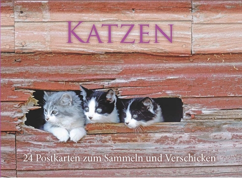 Katzen, Postkartenbuch