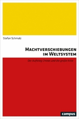 Machtverschiebungen im Weltsystem -  Stefan Schmalz