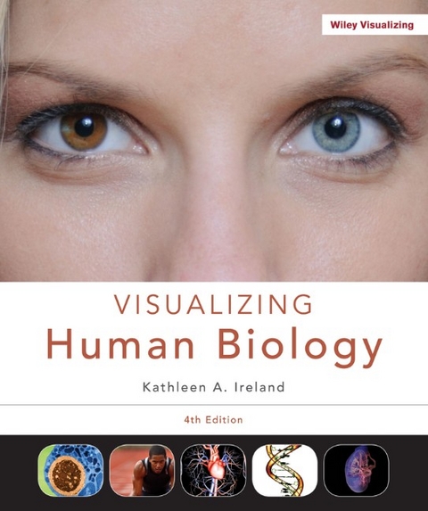 Visualizing Human Biology - Kathleen A. Ireland