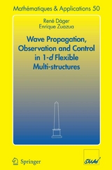 Wave Propagation, Observation and Control in 1-d Flexible Multi-Structures - René Dáger, Enrique Zuazua