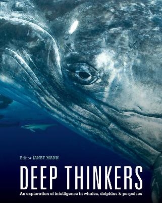 Deep Thinkers - Janet Mann