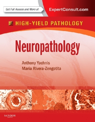 Neuropathology - Anthony T. Yachnis, Marie L Rivera-Zengotita