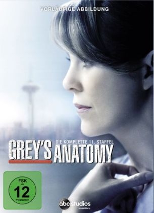 Grey's Anatomy, Die jungen Ärzte. Staffel.11, 6 DVDs