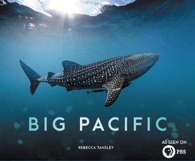 Big Pacific - Rebecca Tansley