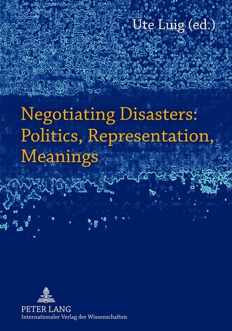 Negotiating Disasters: Politics, Representation, Meanings - 