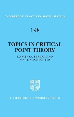 Topics in Critical Point Theory - Kanishka Perera, Martin Schechter