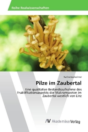 Pilze im Zaubertal - Katharina Leitner