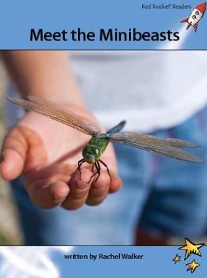 Meet the Minibeasts - Rachel Walker