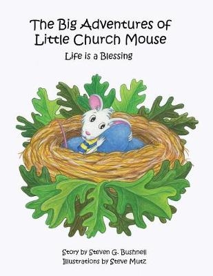 The Big Adventures of Little Church Mouse - Steven G Bushnell