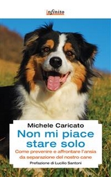 Non mi piace stare solo - Michele Caricato