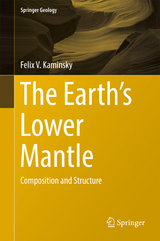 The Earth's Lower Mantle - Felix V. Kaminsky