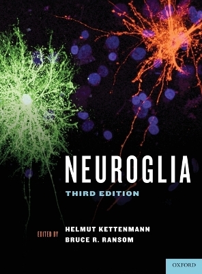 Neuroglia - 