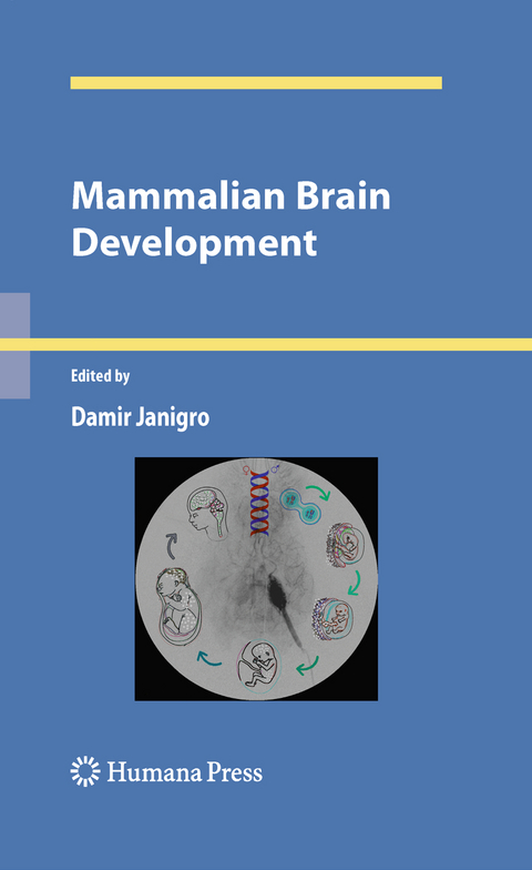 Mammalian Brain Development - 