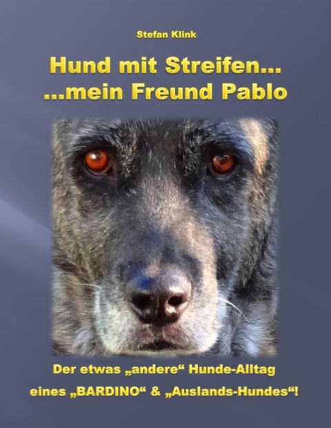 Hund mit Streifen ... - Stefan Klink