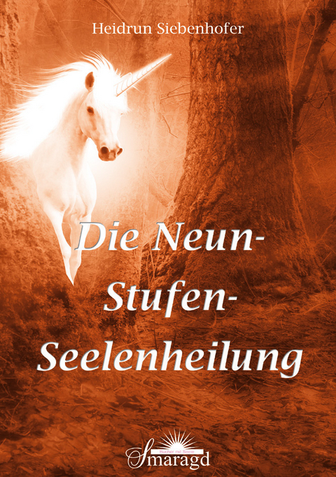 Die Neun-Stufen-Seelenheilung - Heidrun Siebenhofer